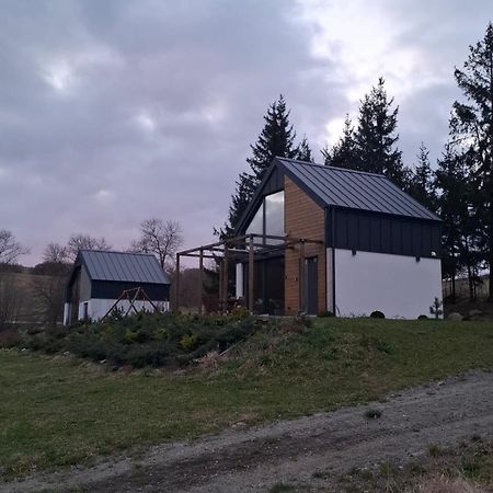 Maraska Holiday House Kamienna Gora Extérieur photo